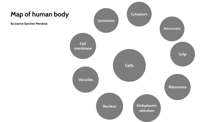 Map of human body by Joanne Sanchez Mendoza