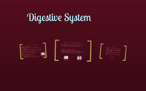 Digestive System by Hezekiah Dennis on Prezi