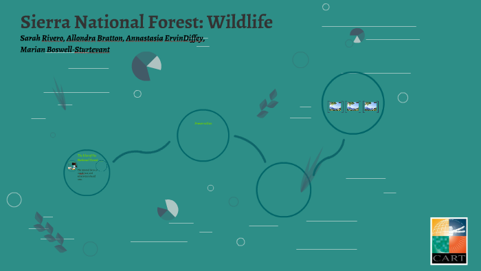 Sierra National Forest: Wildlife by Allondra Bratton on Prezi