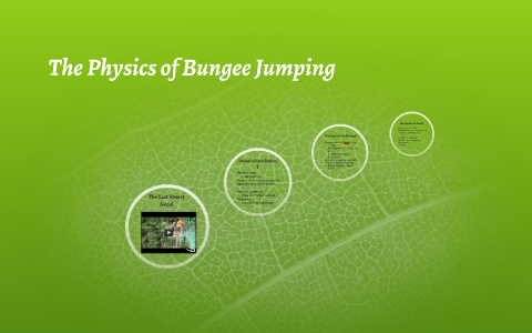 The Physics Of Bungee Jumping By Natalie DeMuro