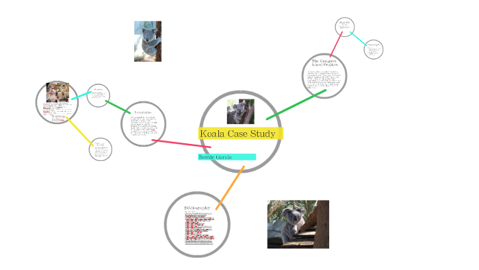 Koala marketing picture