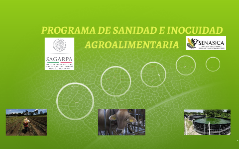 PROGRAMA DE SANIDAD E INOCUIDAD AGROALIMENTARIA by jorge palma pacheco ...