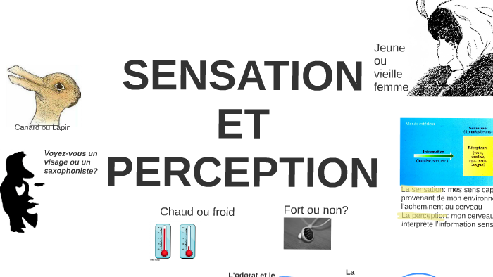 SENSATION ET PERCEPTION By B B