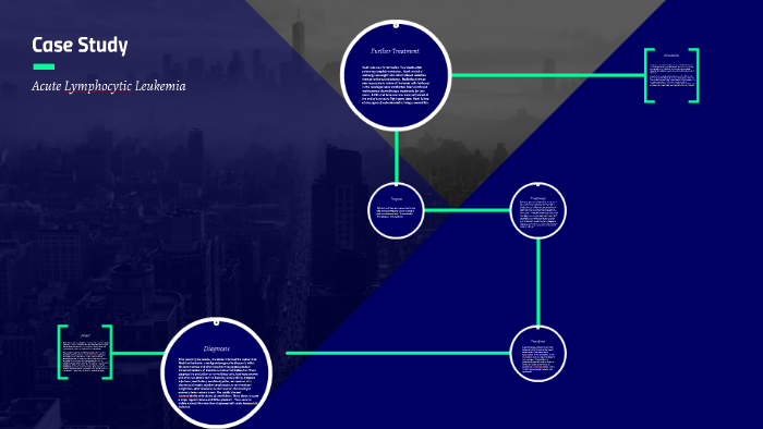 Appex case study prezi 04 picture