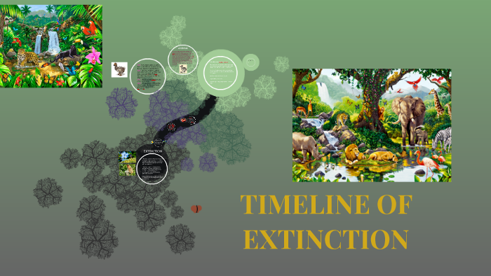 multimedia presentation of a timeline of extinction