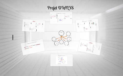 Projet OXALYS by Legris Benjamin