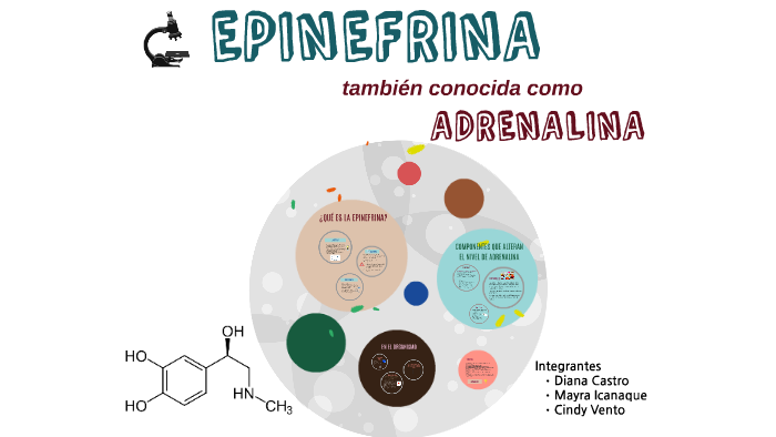 EPINEFRINA by Cindy Vento López on Prezi