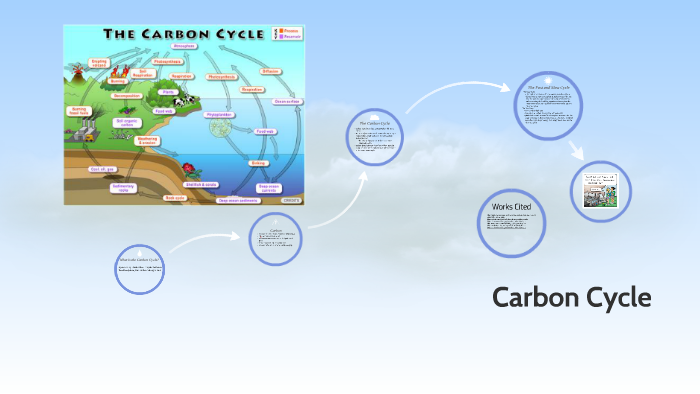 Carbon Cycle by Daphanie Valdez on Prezi