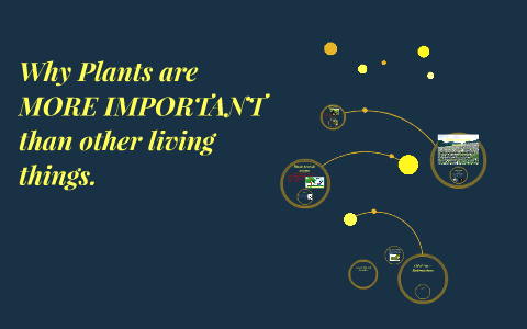 Why Plants are MORE IMPORTANT than Humans by Oliver Little on Prezi Next