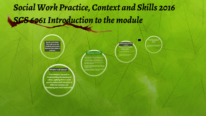 social-work-practice-context-and-skills-2016-by-jadwiga-leigh