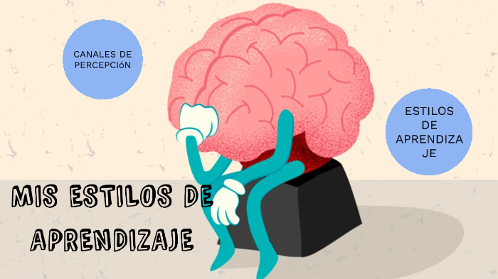 Canales De PercepciÓn Y Estilos De Aprendizaje By Evelyn Anahi Aguirre Quiroga On Prezi 