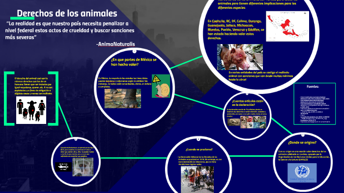 Derechos de los animales by joel valentin martinez baimea on Prezi