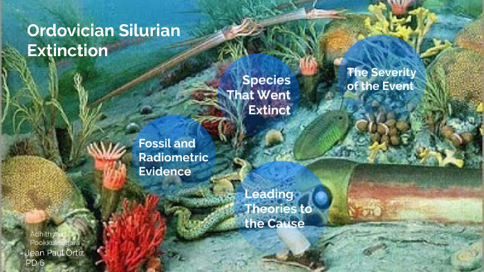 Ordovician Silurian Extinction Events by Jean Paul Ortiz on Prezi