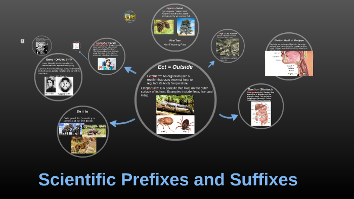 Scientific Prefixes and Suffixes by Nick Perry on Prezi