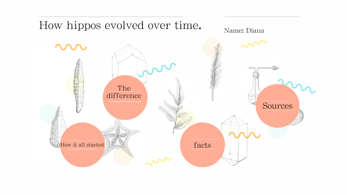 how-hippos-evolve-over-time-by-diana-gontcharova-on-prezi