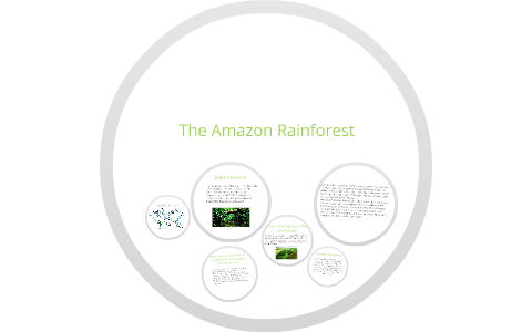 The Amazon Rainforest by Alyssa Hill on Prezi
