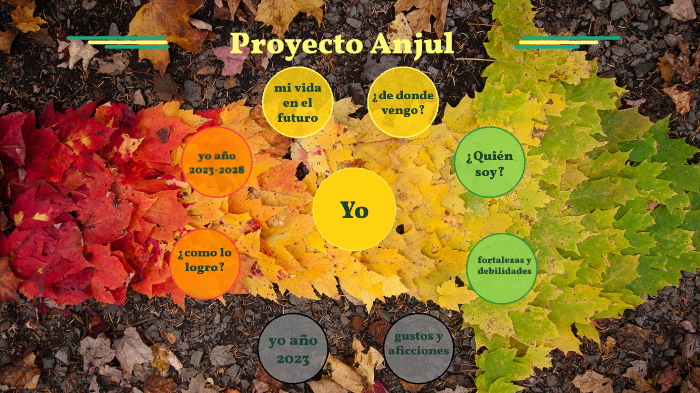 proyecto de vida by anjul hernandez on Prezi