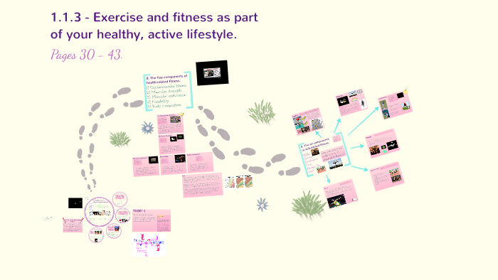 Topic 1.1.3: Exercise and fitness as part of your healthy, active ...