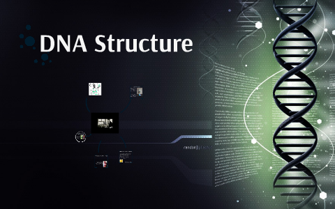DNA Structure by Micheal White on Prezi