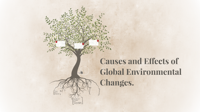 causes and effects of environmental changes