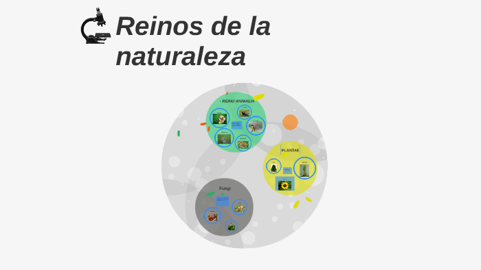 Reinos de la naturaleza by jose movilla on Prezi
