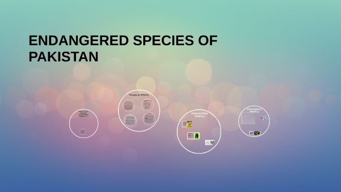 ENDANGERED SPECIES OF PAKISTAN by ARSHAD MUJEEB on Prezi