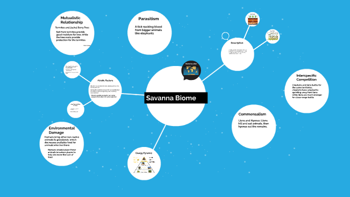 Savanna Biome by Connor Jacoby