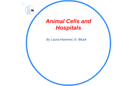 Animal Cells by Laura H. on Prezi