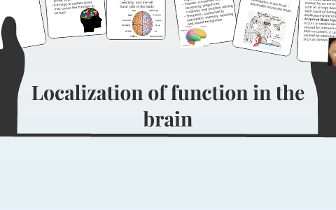 Localization of function in the brain by Sirin Sirinn on Prezi