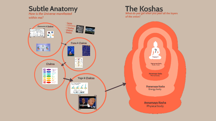 Subtle Anatomy by Paul Graham on Prezi