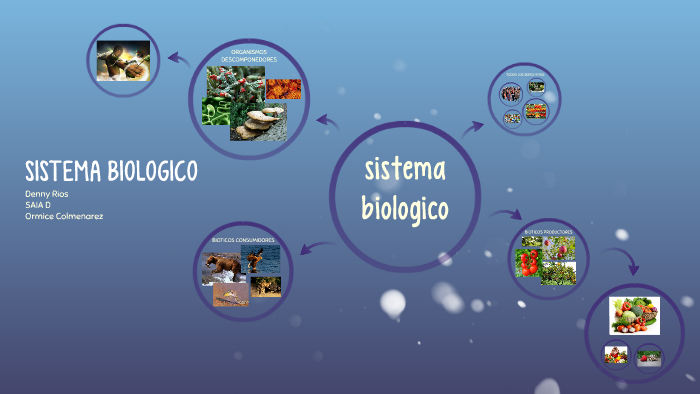 SISTEMA BIOLOGICO by Denny A Rios R on Prezi
