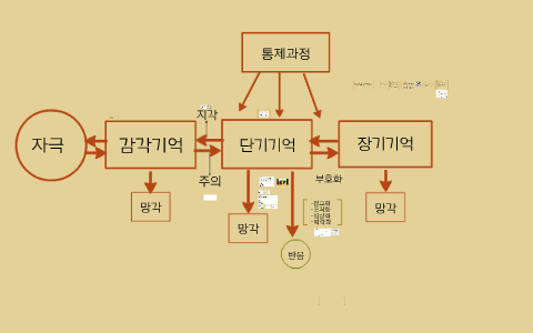 자극 by eugene kim on Prezi