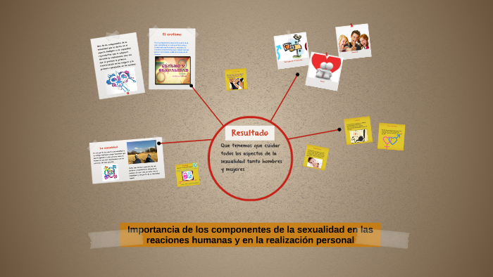 Importancia De Los Componentes De La Sexualidad En Las Reaci By Brandon