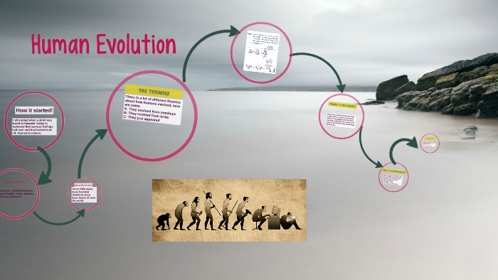 Human Evolution by dilan lieberman on Prezi