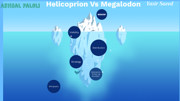 Helicoprion Vs Megalodon