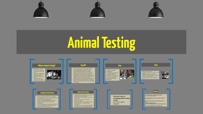 11 Facts About Animal Testing