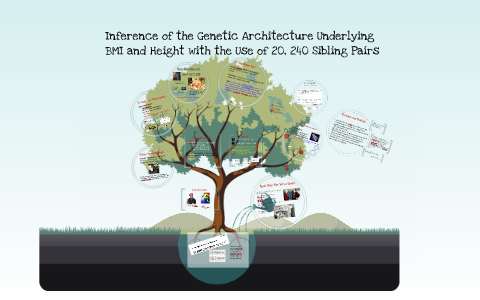Bmi Inference Inference of the Genetic Architecture Underlying BMI and Hei by Jamie ...