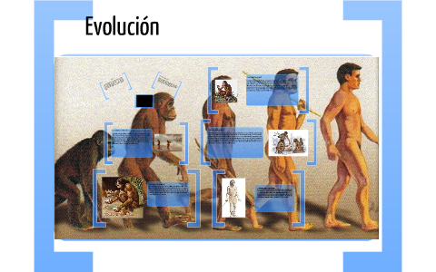 Evolución Del Ser Humano. By Laura Cortés