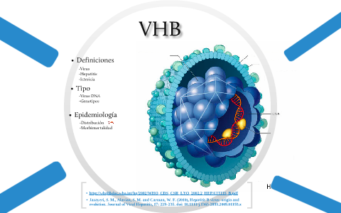 Virus De La Hepatitis B (VHB) By Juan A López-Rodríguez