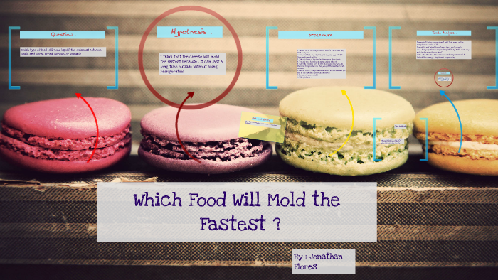 which-food-will-mold-the-fastest-by-jonathan-flores