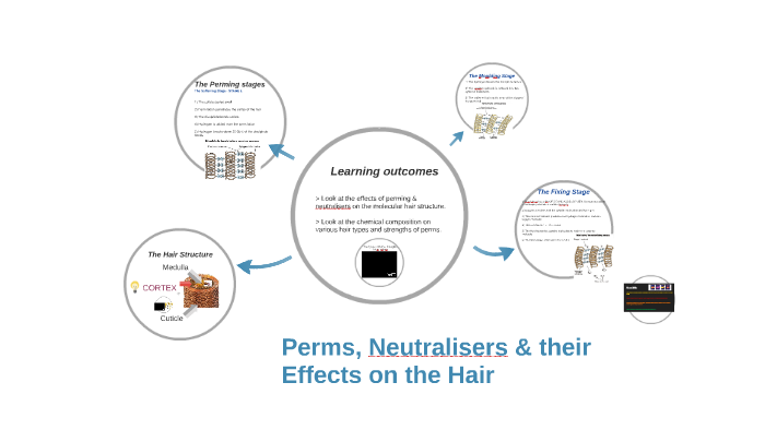 Perms Neutralisers Amp Their Effects On The Hair By A B On Prezi