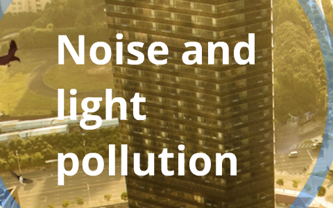 noise and light pollution research paper