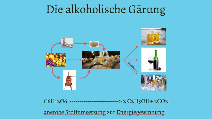 Die Alkoholische Gärung - Youtube 206