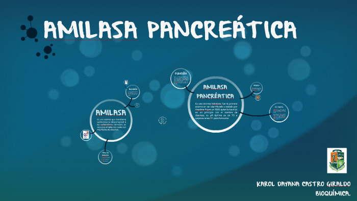 LA AMILASA PANCREÁTICA by karol castro on Prezi
