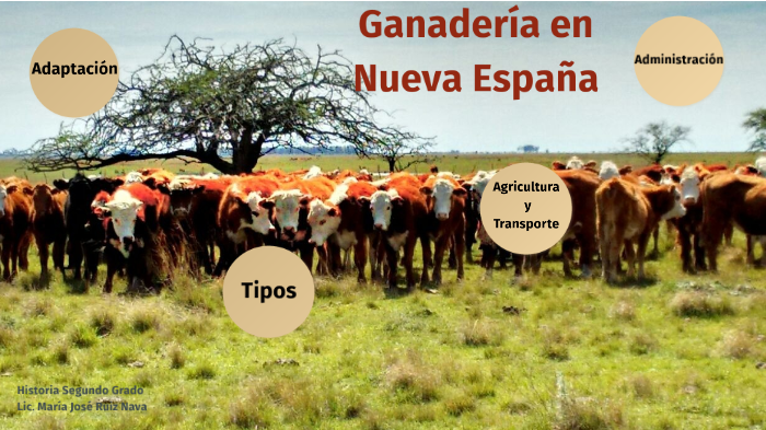 Ganadería en Nueva España by MaJo Ruiz on Prezi