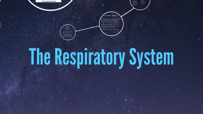The Respiratory System by Allen E.T. on Prezi