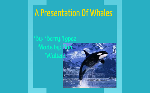 a presentation of whales summary