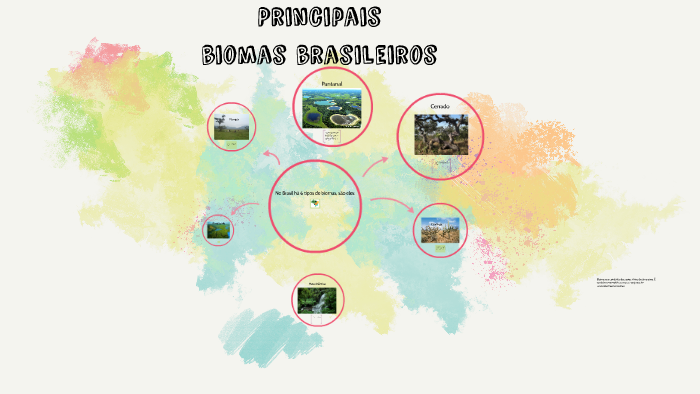 biomas brasileiros by Ana Flávia Borges Pereira on Prezi