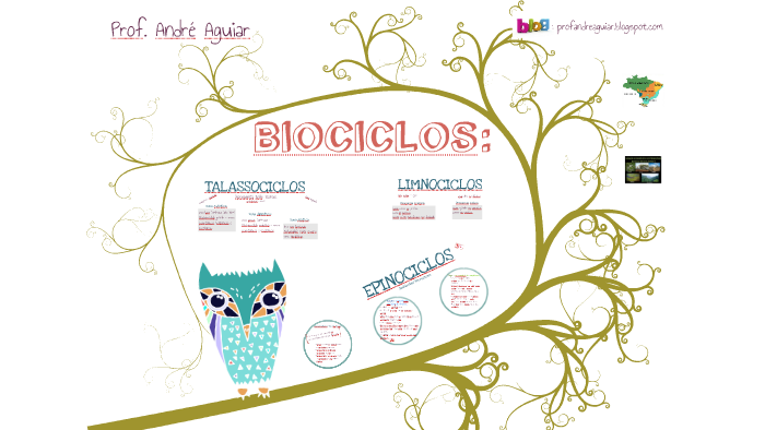 Biociclos - Ambientes aquáticos e terrestres by André Do Nascimento on  Prezi Next