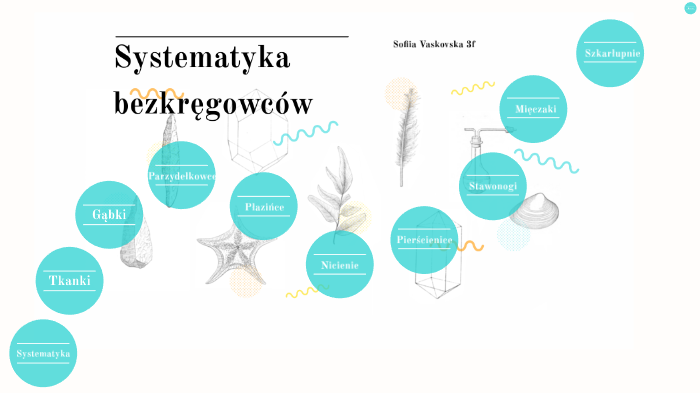 świat Bezkregowcow Nowa Era Sprawdzian Chomikuj
